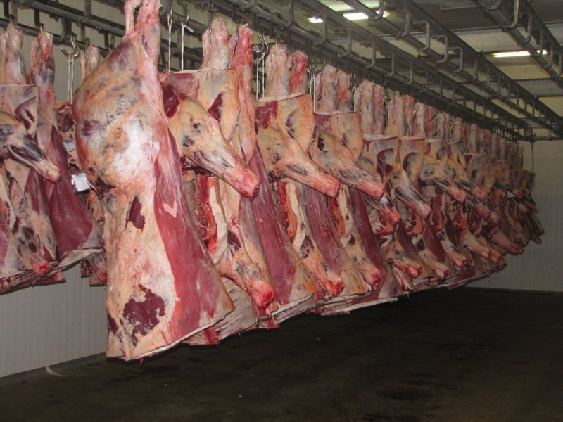 Bảng giá thịt trâu Ấn Độ đông lạnh nhập khẩu